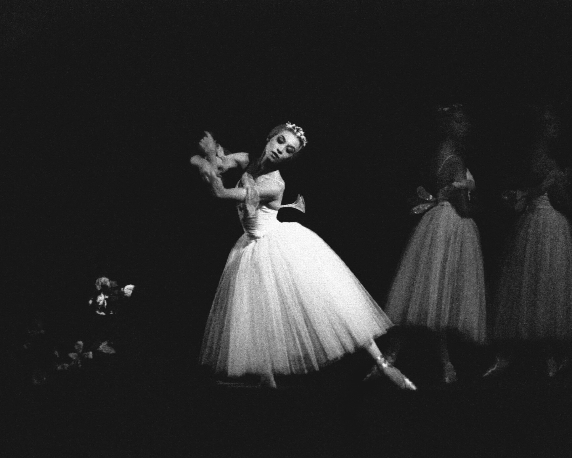 Nina Alovert — SASHA KORBUT